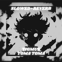 Tigmus - Toma Toma (Brazilian Phonk) [Slowed + Reverb] загрузить