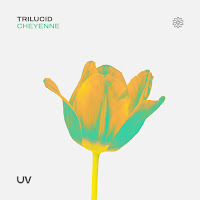 Trilucid - Cheyenne (Extended Mix) загрузить