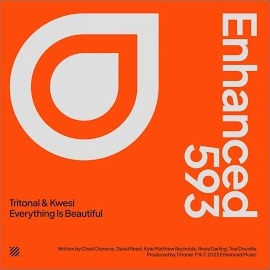 Tritonal - Everything Is Beautiful (Extended Mix) Ft Kwesi загрузить