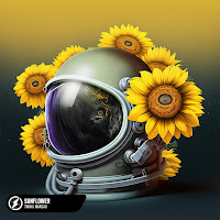 Twin & Margad - Sunflower загрузить