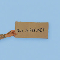 Vladimir Dantes - Not A Refugee загрузить