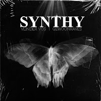 Vlinder Vos - Synthy Ft Gewoonraves загрузить