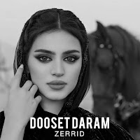 Zerrid - Dooset Daram Ft Adik & Upbeats загрузить