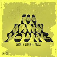 Zvbxr - Too Many Young Ft Cedrix & Yoelle загрузить